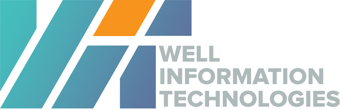 Well Information Technologies